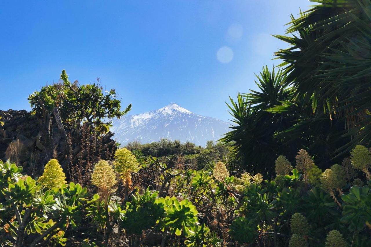 Finca Vino Tinto 2 Icod De Los Vinos Dış mekan fotoğraf