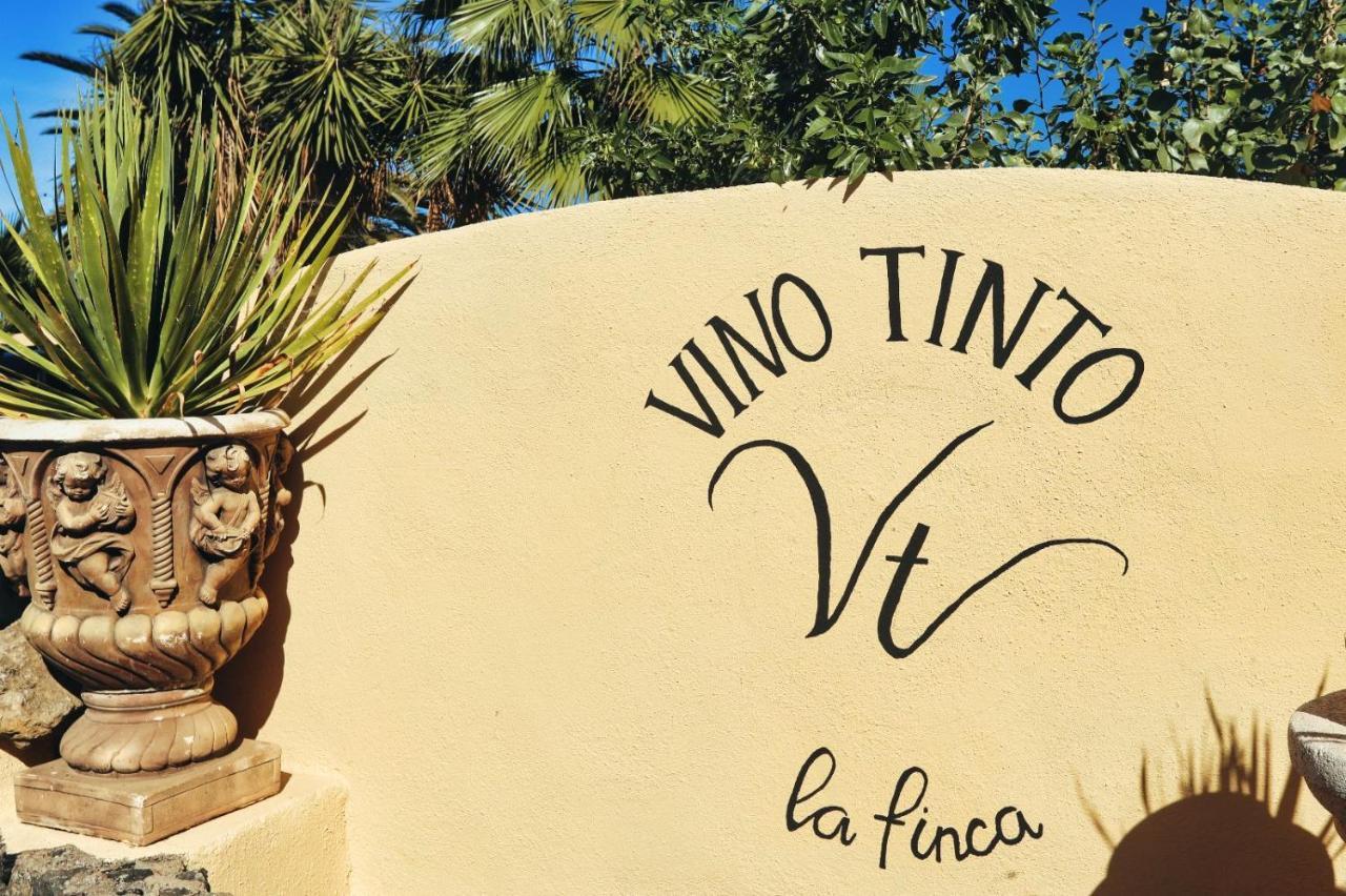 Finca Vino Tinto 2 Icod De Los Vinos Dış mekan fotoğraf